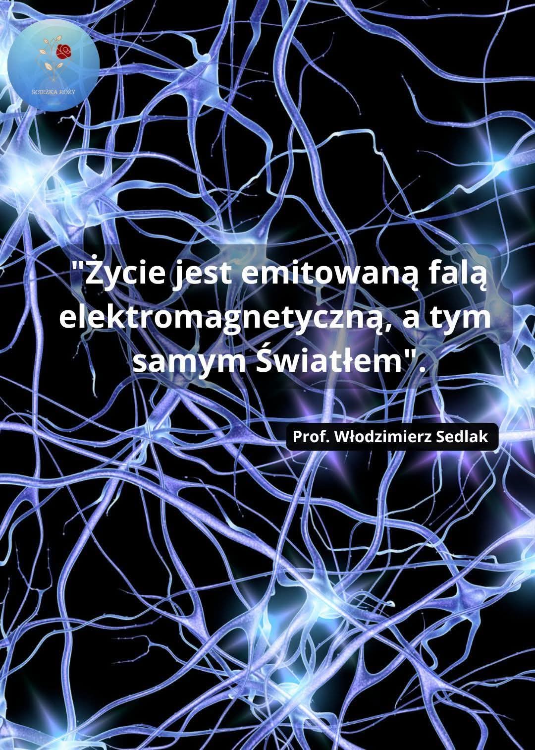 Sytuacja jest jednoznaczna, mam&nbsp;kłopoty
