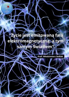 Sytuacja jest jednoznaczna, mam&nbsp;kłopoty