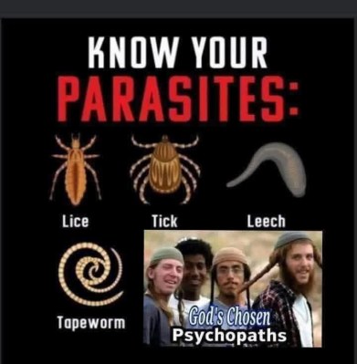 MOI DRODZY: SYTUACJA&nbsp;SPECJALNA