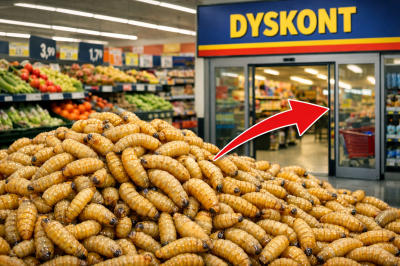 UWAGA: JUŻ JESZ OWADY i O TYM NIE&nbsp;WIESZ!