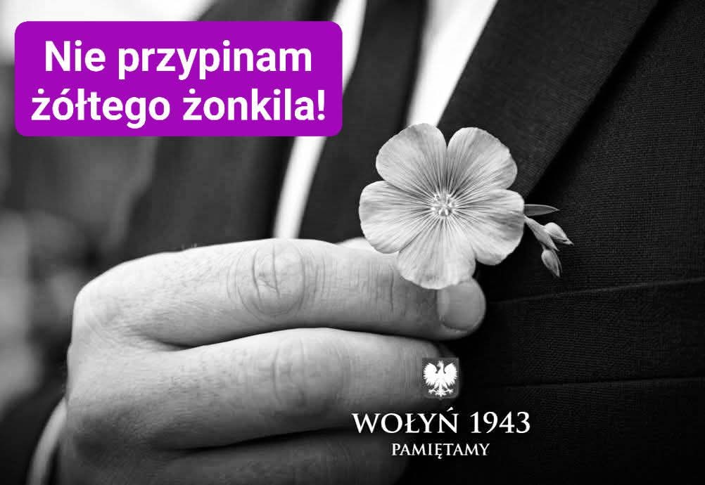 NIE BĘDĘ NOSIŁ ŻÓŁTEGO&nbsp;ŻONKILA!