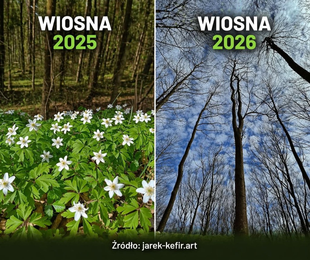 NA MAJÓWCE -8°C I POTĘŻNY&nbsp;ŚNIEG!