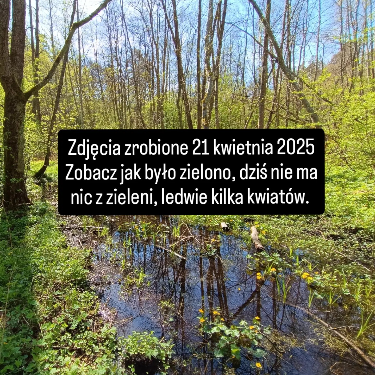 MATRIX SPOTWARZYŁ JARKA KEFIRA!