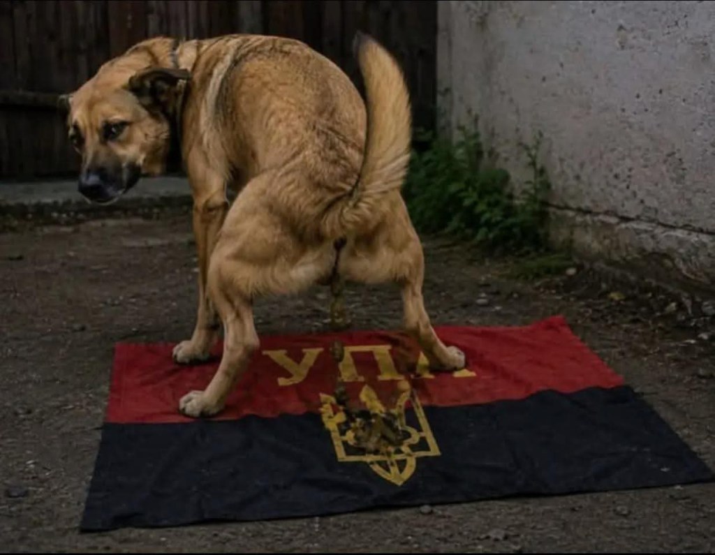 Ukrainizacja: Czy na kibiców nie można już&nbsp;liczyć?
