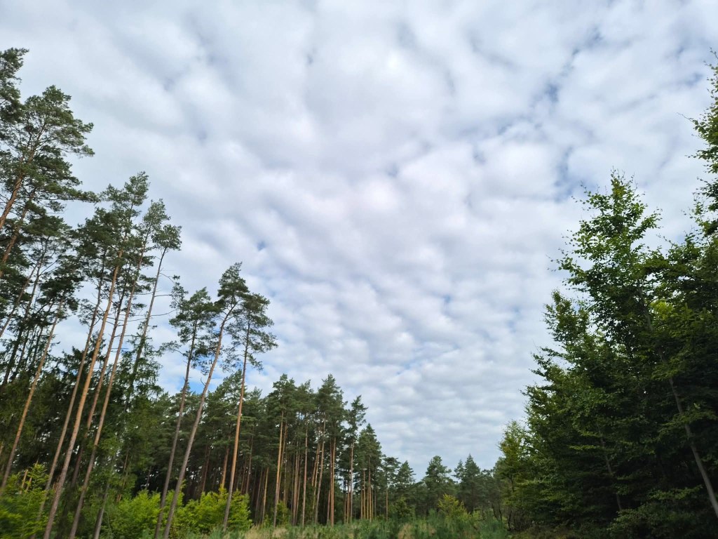 Zróbmy modę na lato, bo zimnolubni&nbsp;atakują!