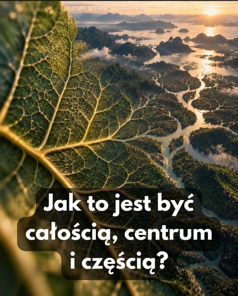 Zbliżenie na liść z widokiem na górzysty krajobraz z rzekami, w tle zachód słońca i chmury.