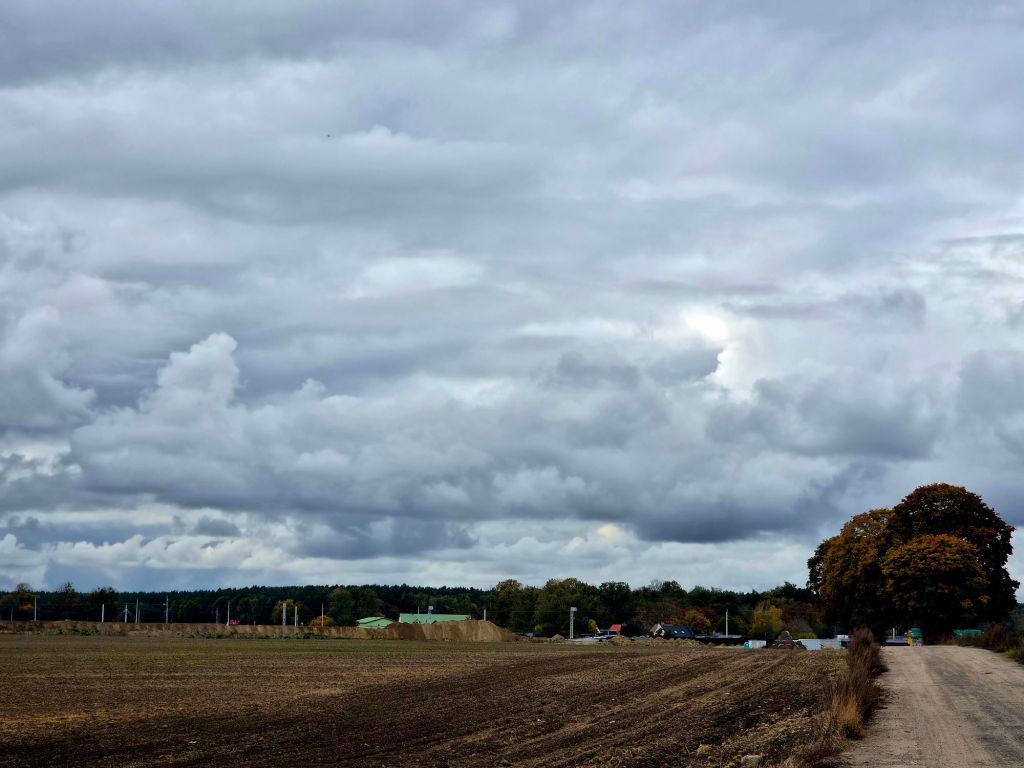 Widok na pole z brązową ziemią, na tle szarych, pochmurnych niebios, z drzewem po prawej stronie i niewielkimi budynkami w oddali.